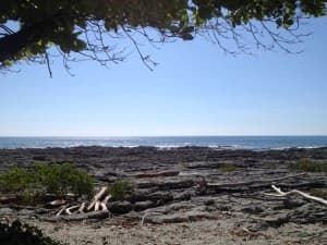 Playa Manzanillo Reef